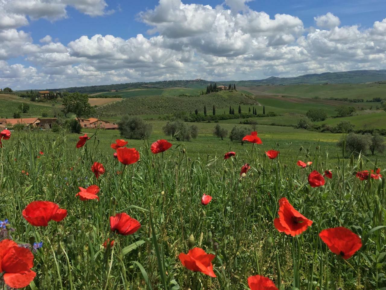 Residenza D'Epoca La Rosa Διαμέρισμα Πιέντσα Εξωτερικό φωτογραφία